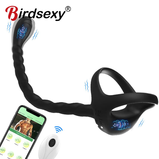 App Controlled Cock Ring With Anal Plug Vibrator